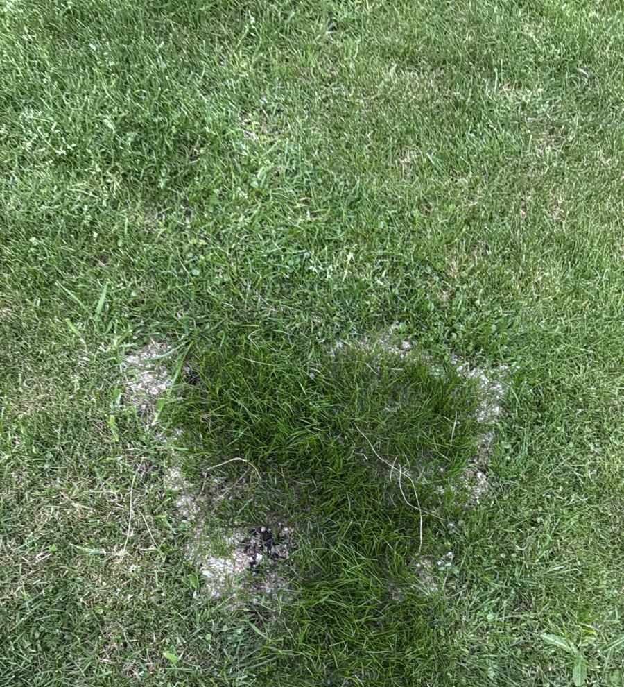 Dag 14, dezelfde plek